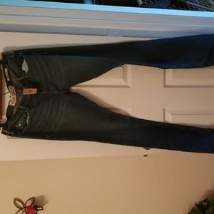 Hollister Jean's